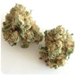 Шишки "White Widow" (Белая вдова) Гидропоника - Бошка VHQ в Томске Шишки "White Widow" (Белая вдова) Гидропоника - Бошка VHQ в Томске