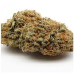 Шишки AK47 (Гидропоника, Бошка) VHQ в Томске Шишки AK47 (Гидропоника, Бошка) VHQ в Томске