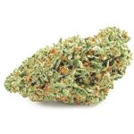 Шишки OG Kush (Гидропоника, бошки) VHQ в Томске Шишки OG Kush (Гидропоника, бошки) VHQ в Томске